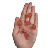 Ciuperca Cuart cherry 20mm