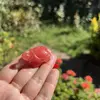 Broasca testoasa cuart cherry gravata manual, 40mm, imagine 3