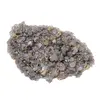 Floare de mina pentru colectie, unicat - C435 (Lot 1)