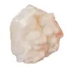 Floare de mina pentru colectie, unicat - C460 (Lot 1)