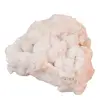 Floare de mina pentru colectie, unicat - C484 (Lot 1)