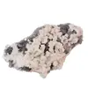 Floare de mina pentru colectie, unicat - C542 (Lot 1)