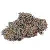 Floare de mina pentru colectie, unicat - C583 (Lot 1)