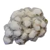 Floare de mina pentru colectie, unicat - C688 (Lot 1)
