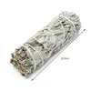 100 x Buchet Salvie Alba (California White Sage) 10-12cm (en-gross, wholesale), imagine 2