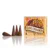 Conuri parfumate fumigatie HEM Clove Cinnamon 10 buc