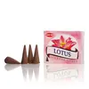 Conuri parfumate fumigatie HEM Lotus 10 buc