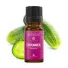 Parfumant Cucumber, Mayam 10ml, imagine 3