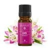 Parfumant Lys, Mayam 10ml, imagine 3