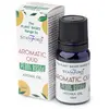 Ulei vegetal aromat, Oud Aromat - Stamford, 10ml