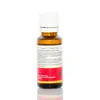Ulei esential aromaterapie Chakra 1* Conectare, 20 ml, imagine 2