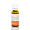 Ulei esential aromaterapie Chakra 2* Creativitate, 20 ml, imagine 2