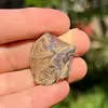 Chihlimbar din Indonezia, cristal natural unicat, A34