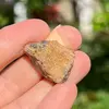 Chihlimbar din Indonezia, cristal natural unicat, A61, imagine 2