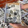 Lot flori de mina pentru colectie, unicat, 2kg - LOT47