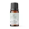 Ulei parfumat aromaterapie Aromatique Premium – Anti-tantari, 10ml