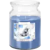 Lumanare parfumata Bispol borcan Premium line - Anti Tobacco