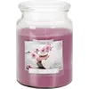 Lumanare parfumata Bispol borcan Premium line - Spa Garden