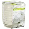 Lumanare parfumata Bispol in pahar spirala - White Flower