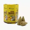 Conuri parfumate fumigatie Aromatika Tamaie Masala Backflow - Cocos si Mango, 10 bucati
