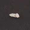 Fenacit nigerian, cristal natural unicat, F298
