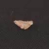 Fenacit nigerian, cristal natural unicat, F56