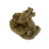 Statueta Feng Shui Dragon cu monede din rasina - 5cm, imagine 3