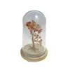 Copac in cupola de sticla cu lumina multicolora, cristal natural Carneol, 13cm, imagine 2