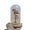 Copac in cupola de sticla cu lumina multicolora, cristal natural Carneol, 13cm, imagine 4