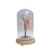 Copac in cupola de sticla cu lumina multicolora, cristal natural Citrin, 13cm, imagine 3