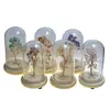 Copac in cupola de sticla cu lumina multicolora, cristal natural Cuart roz, 13cm, imagine 5