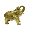 Statueta Feng Shui din alama Elefant cu pepita, 19cm, imagine 6
