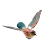 Magnet papagal multicolor, 10cm, imagine 2