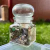 Spelljar pentru atragerea prosperitatii cu ierburi si cristale naturale, imagine 4