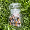 Spelljar pentru copii, protectie si echilibrare energetica cu ierburi si cristale naturale, imagine 3