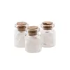 Sticla cu cristale naturale Cristal de Stanca chips 4-8mm, 3cm, imagine 2