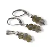 Set cercei cu agatatoare si pandantiv Labradorit discuri fatetate, 5-6mm