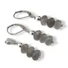 Set cercei cu agatatoare si pandantiv Labradorit discuri fatetate, 7-8mm