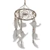 Talismanul viselor cu pene albe, mare - 40 x 16cm