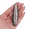 Fosila Orthoceras cu gaura, 5-7cm, imagine 5