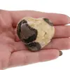 Inima mica Septaria, 20-30g, imagine 5