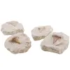 Dinte de rechin in matrita, 5-6cm, imagine 2