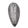 Fosila Orthoceras mica, 8-9cm, imagine 3