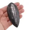 Fosila Orthoceras mica, 8-9cm, imagine 6