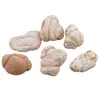 Menilit cristal natural, 5-6cm