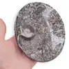 Vas slefuit din mix fosile oval, 12-12,5cm, imagine 6