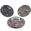 Vas slefuit din mix fosile oval, 12-12,5cm