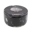 Vas slefuit din mix fosile rotund mare - 10,5cm, imagine 2