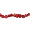 Colier Coral rosu rondele 8mm, imagine 2