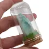 Cupola cu cristal natural Amazonit brut, 65mm
